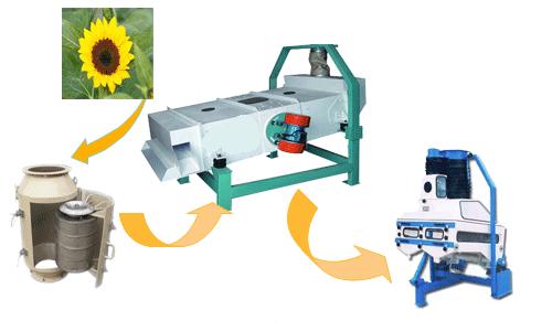 Sunflower Oil Making Machine