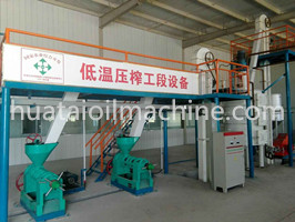 cold press walnut oil extraction machine