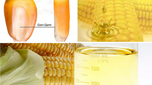 corn-oil-processing-machine