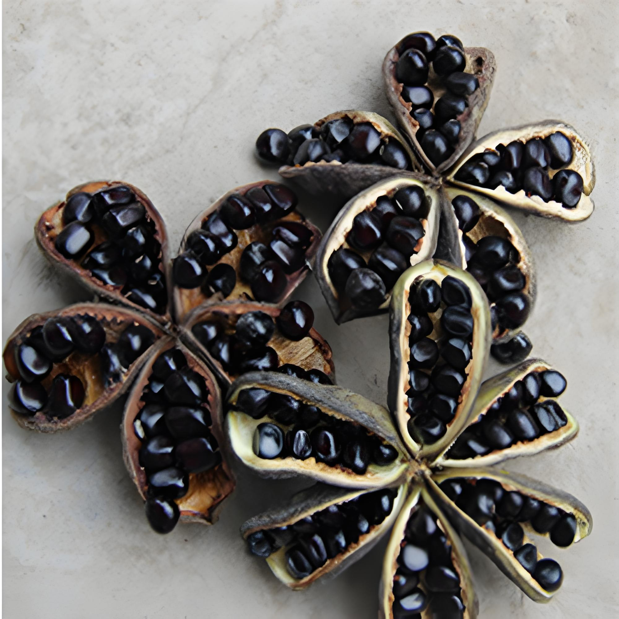 Peony seed oil