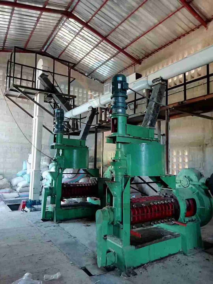 edible oil press
