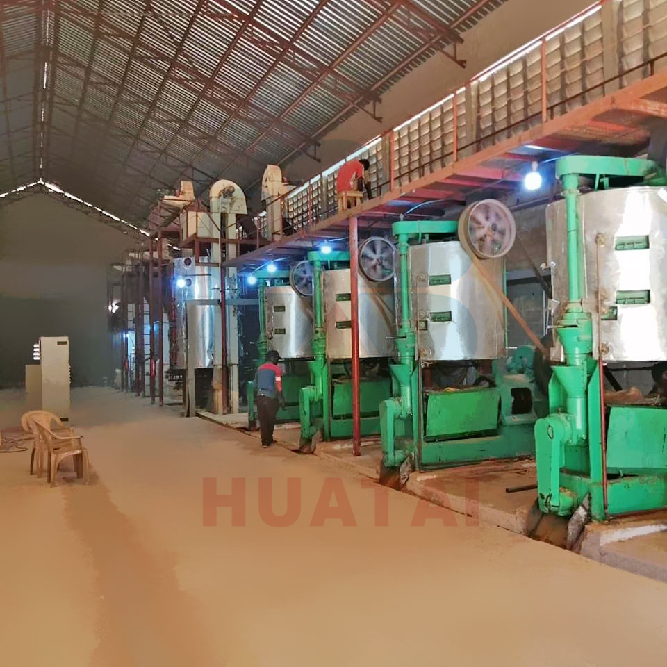 edible oil press