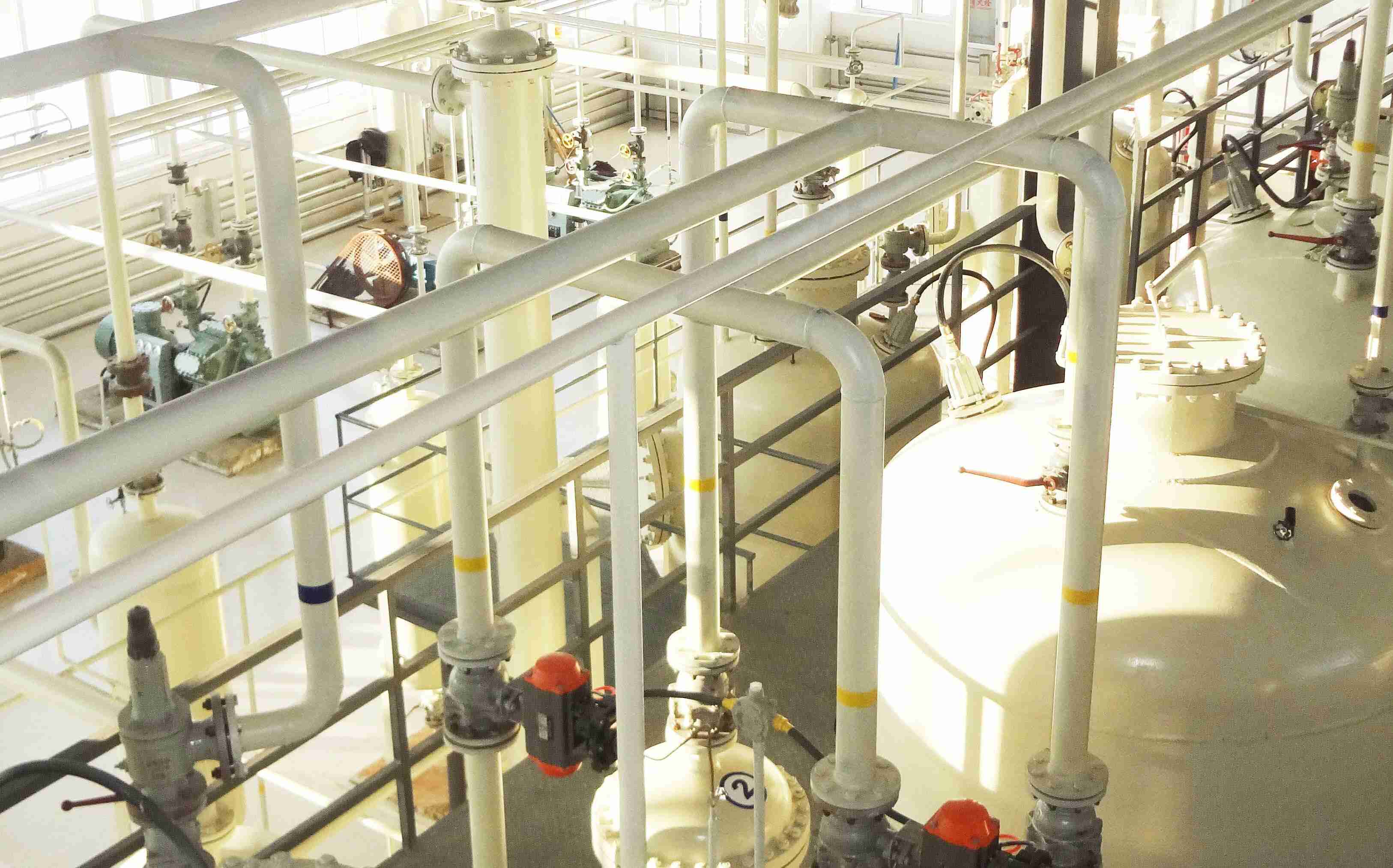 Grape seed oil processing equipment
