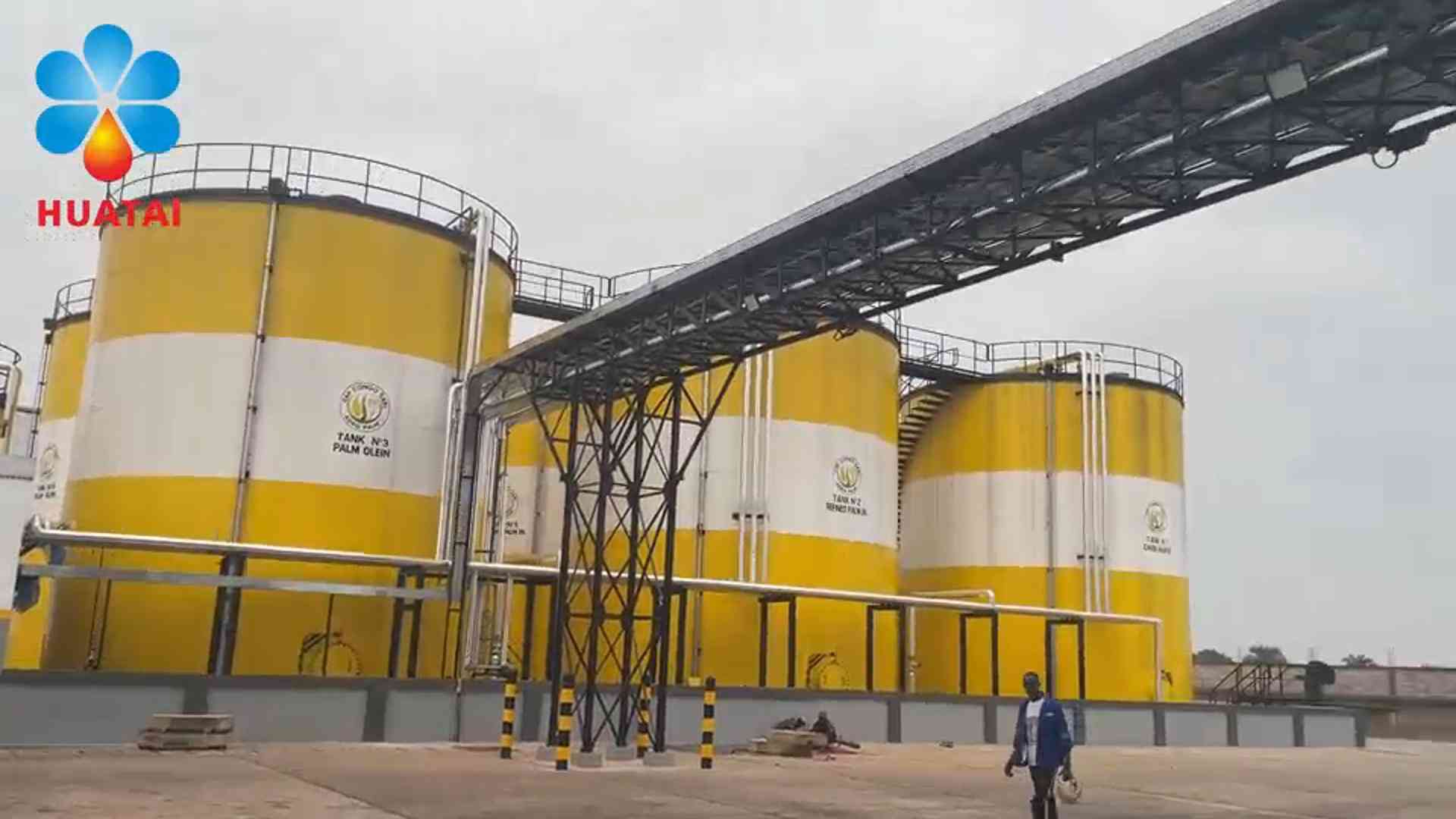 palm oil machine