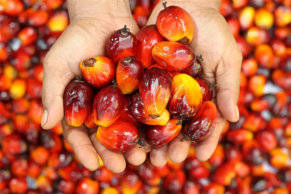 palm fruit