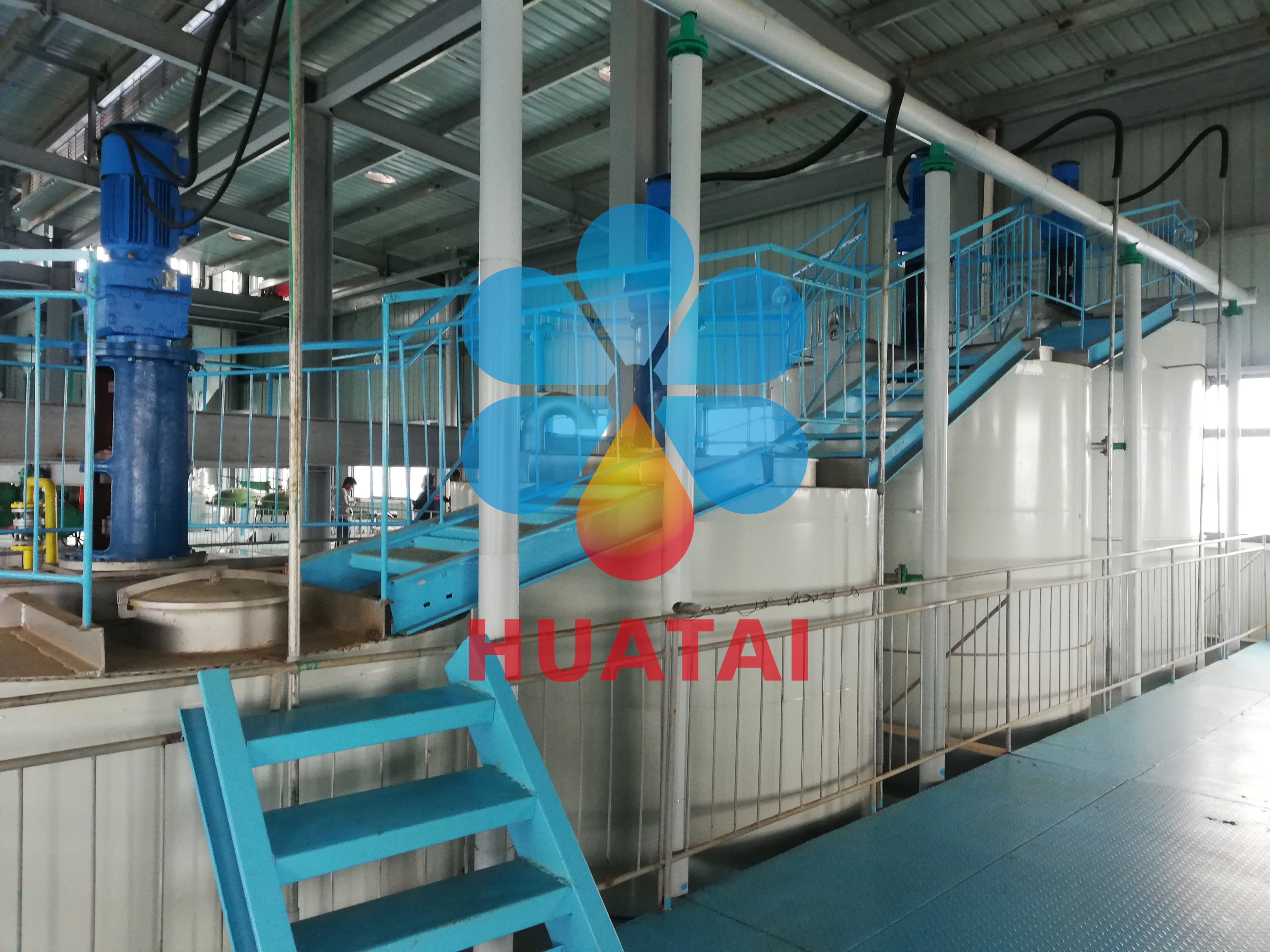 perilla oil machinery