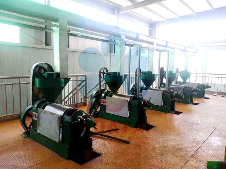 pumpkin seed oil press