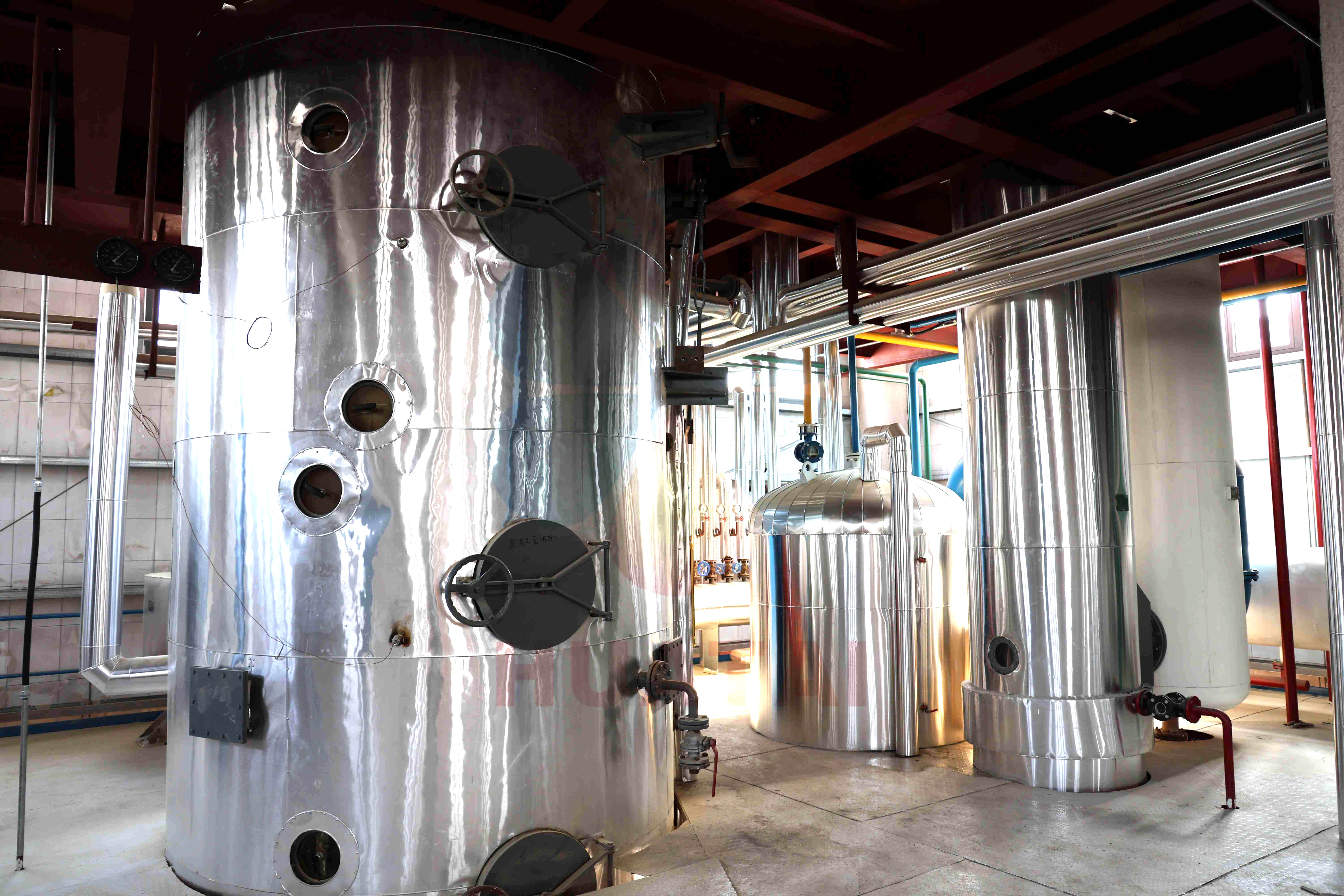 rice bran oil machine