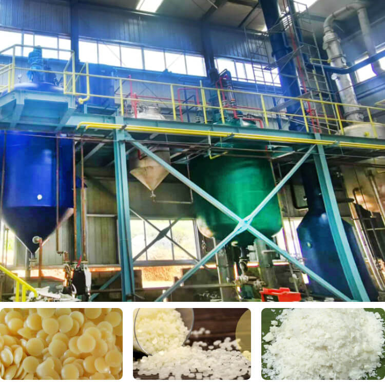 Rice Bran Wax Extraction Equipment for Sale