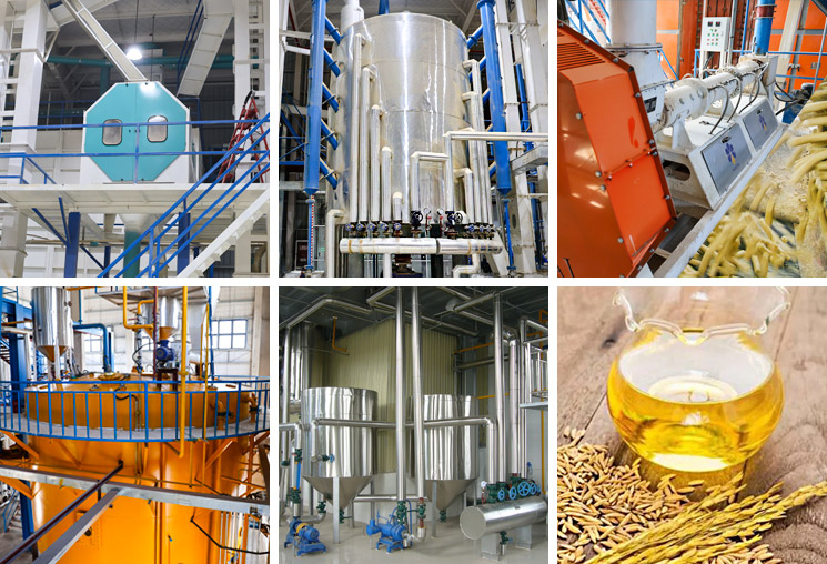 Rice Bran Oil Production Line