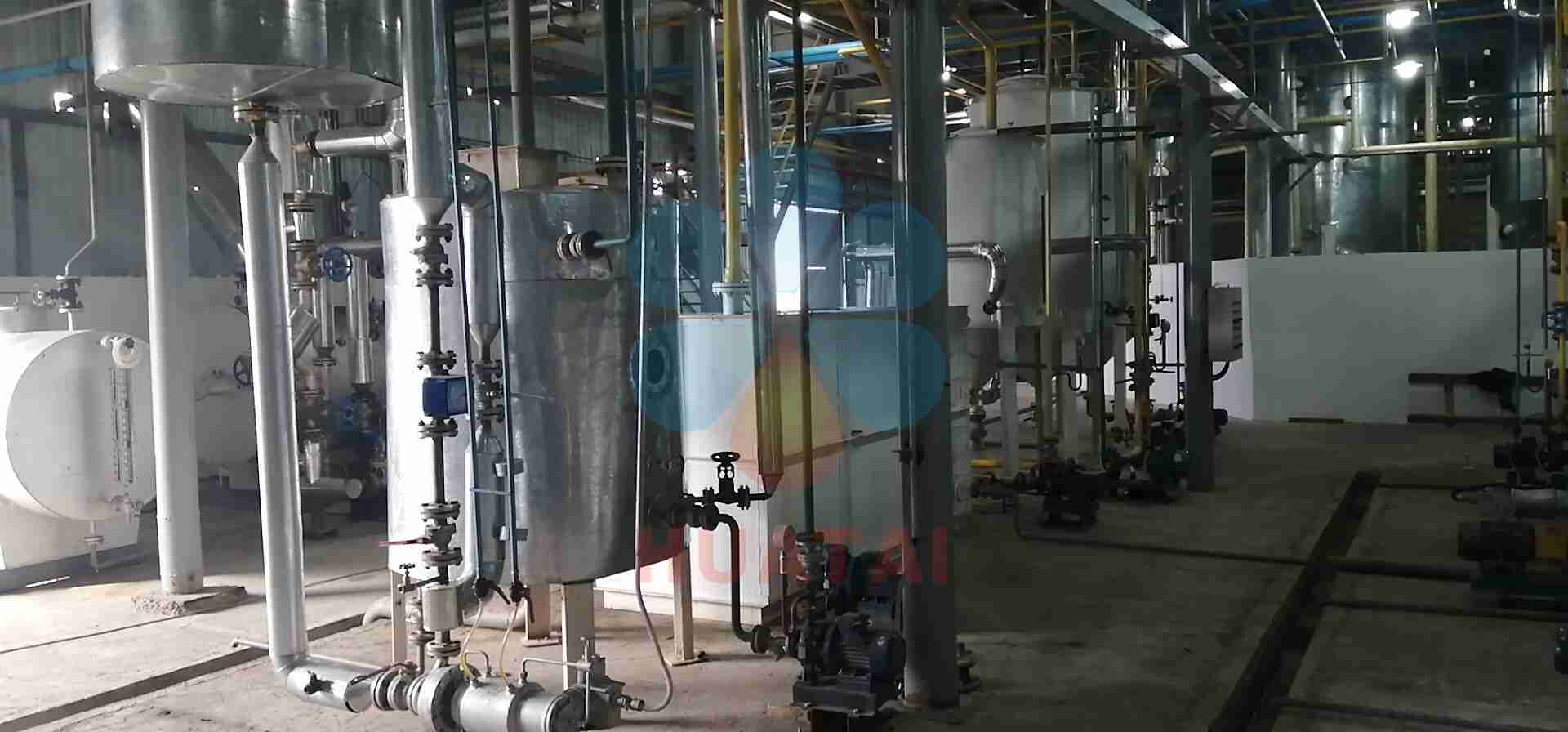 sunflower oil machine