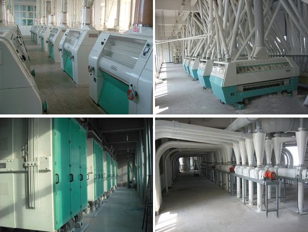 wheat flour processing machine