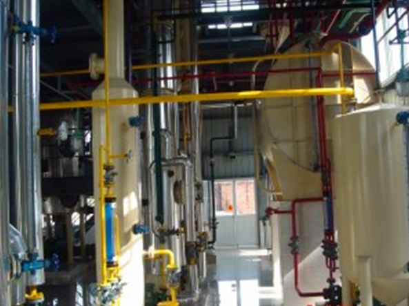 Animal oil negative pressure refining