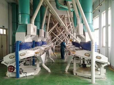 Maize Flour Milling Machinery