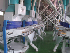 Corn Starch  Processing Line