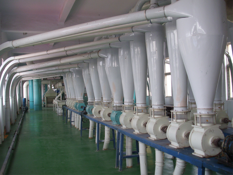 Corn Starch Processing Line