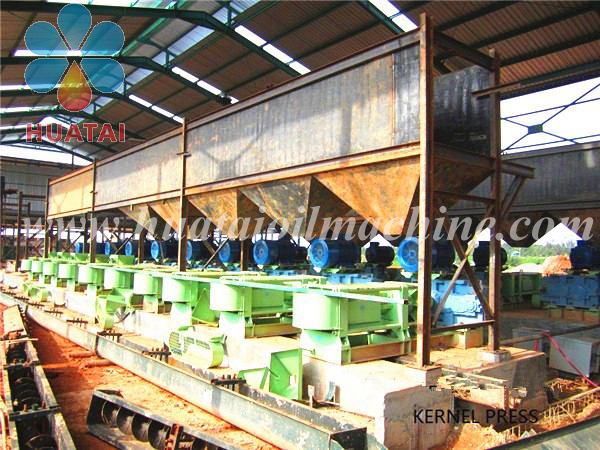 Palm Kernel Oil Production