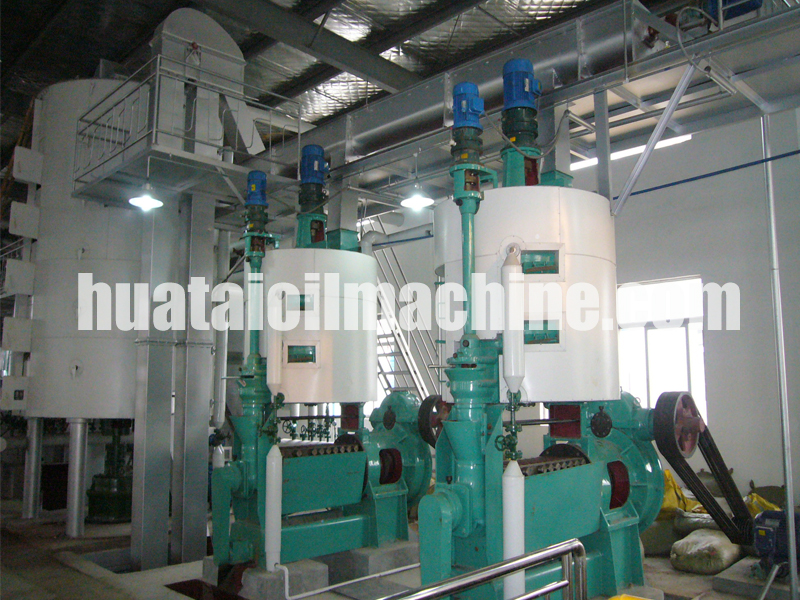Sunflower Oil Extraction Machine