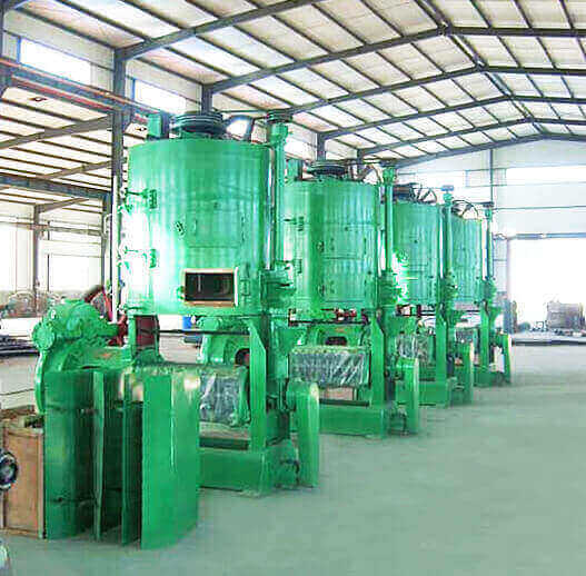 Rapeseed Oil Cold Press